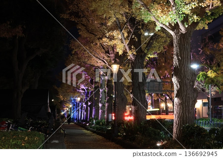 橫濱灣地區聖誕季燈光秀夜景及城市景觀 橫濱灣地區聖誕季燈光秀夜景及城市景觀 136692945