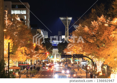 Yokohama Bay Area Christmas Season Illuminations Night View and Cityscape 136692947