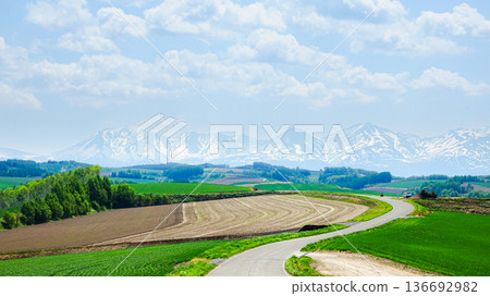 Impressive scenery with a hill road in Biei, Hokkaido, under the blue sky in spring 136692982