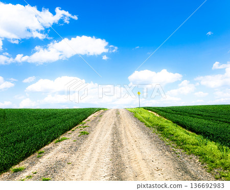 Impressive scenery with a hill road in Biei, Hokkaido, under the blue sky in spring 136692983