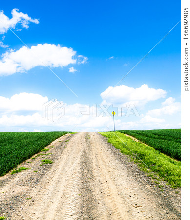 Impressive scenery with a hill road in Biei, Hokkaido, under the blue sky in spring 136692985