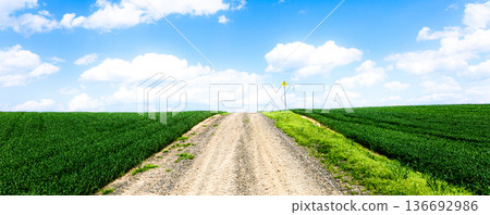 Impressive scenery with a hill road in Biei, Hokkaido, under the blue sky in spring Impressive scenery with a hill road in Biei, Hokkaido, under the blue sky in spring 136692986