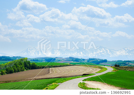 Impressive scenery with a hill road in Biei, Hokkaido, under the blue sky in spring Impressive scenery with a hill road in Biei, Hokkaido, under the blue sky in spring 136692991
