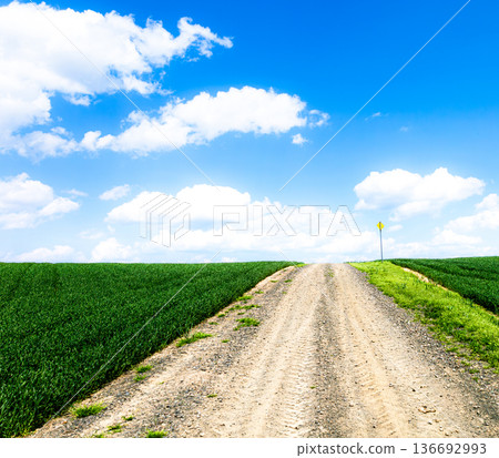 Impressive scenery with a hill road in Biei, Hokkaido, under the blue sky in spring Impressive scenery with a hill road in Biei, Hokkaido, under the blue sky in spring 136692993