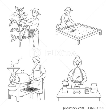 From Bean to Cup: Traditional Coffee Harvesting and Roasting Illustration From Bean to Cup: Traditional Coffee Harvesting and Roasting Illustration 136693148