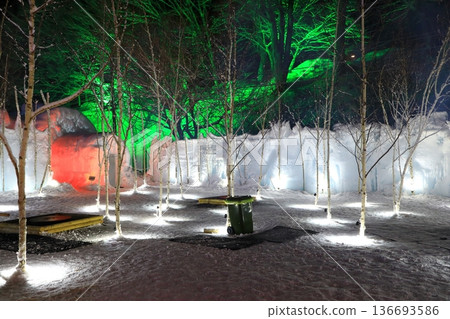 Lake Shikotsu Ice Festival 136693586