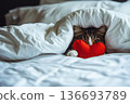 cute kitten relaxing on the bed with red heart lying on . 136693789