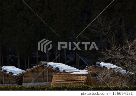 Spring is approaching at the Ichijodani Asakura clan ruins 136694151