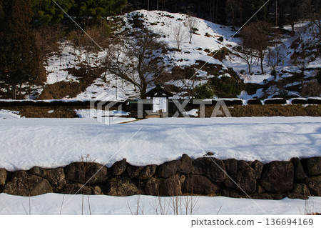 一乘谷朝倉氏遺址的春天即將到來 136694169