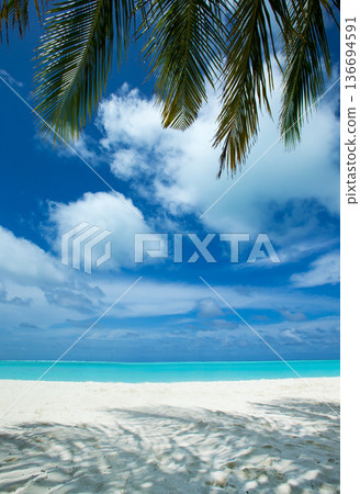 Summer beach landscape. Tropical island paradise. Tropical white sand beach with coco palms. Sand, blue sea water, turquoise ocean, sun sky white clouds 136694591