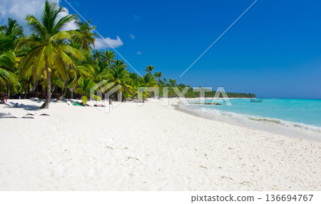 sea landscape. palm trees on tropical beach sea landscape. palm trees on tropical beach 136694767