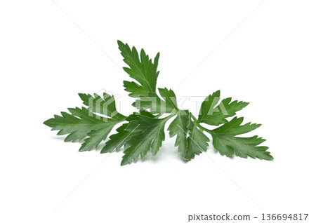Fresh parsley leaf. Parsley leaf isolated on white. Fresh parsley leaf. Parsley leaf isolated on white. 136694817
