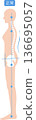 Correct posture woman whole body spine and pelvis 136695057