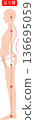Woman with arched back, whole body, spine and pelvis 136695059