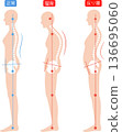 Correct posture and hunchback and arched back women's spine and pelvis 136695060