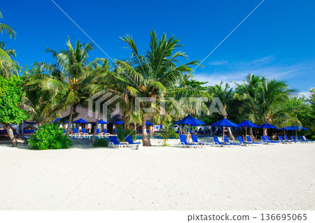 Maldives island with beach Maldives island with beach 136695065