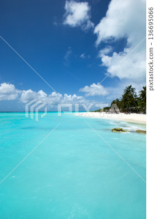 beach and tropical sea . nature background 136695066