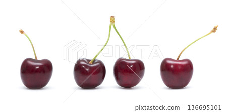 Cherry isolated. Cherries on white background. Sour cherry on white. 136695101