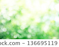 green bokeh background 136695119