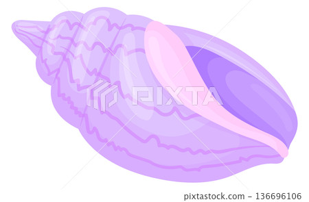 Nutmeg shell. Spiral beach conch cartoon icon 136696106