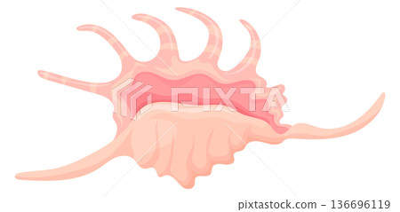 Spider conch cartoon icon. Exotic sea shell 136696119
