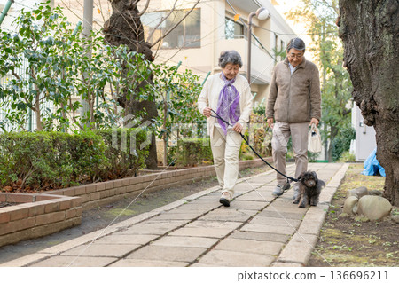 Senior couple walking with dog 136696211