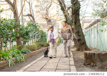 Senior couple walking with dog 136696212