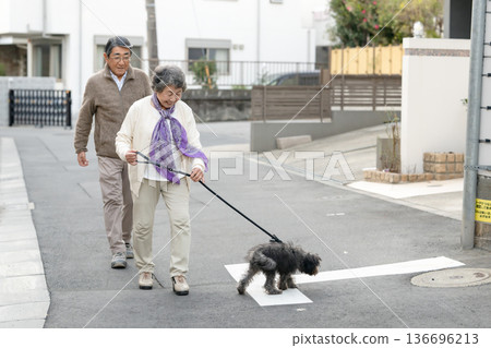 Senior couple walking with dog Senior couple walking with dog 136696213