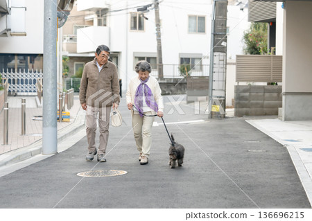 Senior couple walking with dog Senior couple walking with dog 136696215