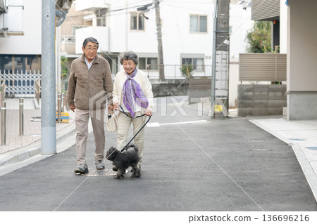 Senior couple walking with dog 136696216