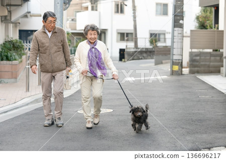 一對老年夫婦牽著狗狗散步 136696217