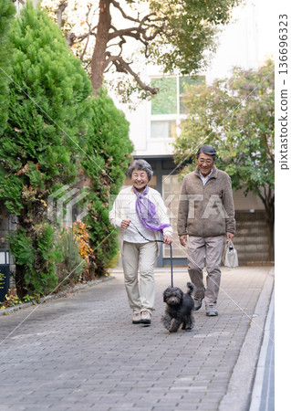 Senior couple walking with dog Senior couple walking with dog 136696323