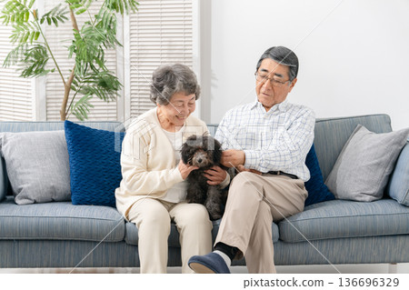 一對老年夫婦在客廳和他們的狗玩耍 136696329