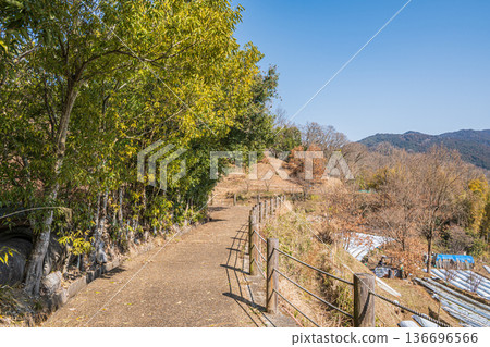 奈良縣國立飛鳥歷史公園岩戶地區的岩戶梯田 136696566