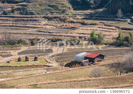 Rice terraces in Iwaido, Iwaido area of National Asuka Historical Park, Nara Prefecture 136696572
