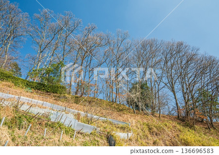 Asuka National Historic Park, Iwaido District, Nara Prefecture 136696583