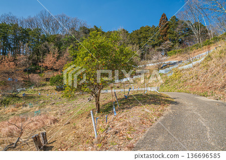 Asuka National Historic Park, Iwaido District, Nara Prefecture Asuka National Historic Park, Iwaido District, Nara Prefecture 136696585