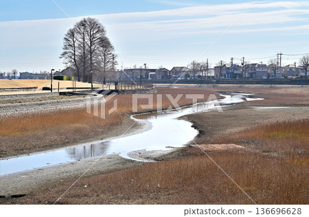Walking around Koshigaya: Kawarasone Reservoir, Motoarakawa River, Kawarasone, Koshigaya City 136696628