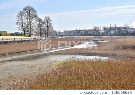 Walking around Koshigaya: Kawarasone Reservoir, Motoarakawa River, Kawarasone, Koshigaya City 136696629