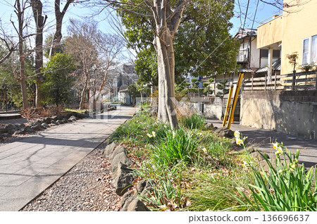 Walking in Koshigaya: Promenade Kawarasone, Koshigaya City Walking in Koshigaya: Promenade Kawarasone, Koshigaya City 136696637