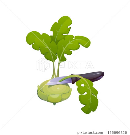 Green kohlrabi vegetable being cut with kitchen knife. Vector fresh leafy vegetable during food preparation process. Cartoon cooking food scene with cabbage head and sliced leaves for culinary recipe Green kohlrabi vegetable being cut with kitchen knife. Vector fresh leafy vegetable during food preparation process. Cartoon cooking food scene with cabbage head and sliced leaves for culinary recipe 136696826
