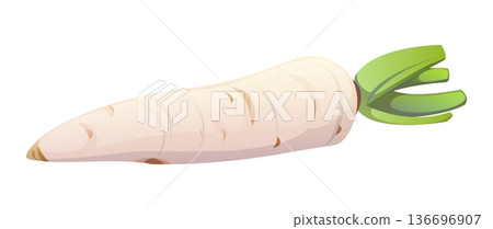 Cartoon raw ripe daikon vegetable, isolated vector whole white radish. long root veg with smooth skin and tapered shape. Natural and fresh garden plant, cuisine ingredient, crunchy and healthy snack Cartoon raw ripe daikon vegetable, isolated vector whole white radish. long root veg with smooth skin and tapered shape. Natural and fresh garden plant, cuisine ingredient, crunchy and healthy snack 136696907