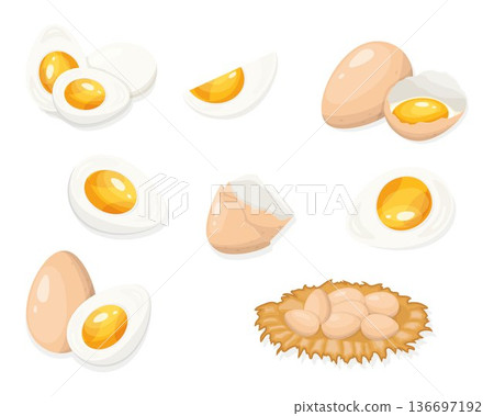 Eggs Illustration Set with Boiled Cut and Cracked Eggs 136697192