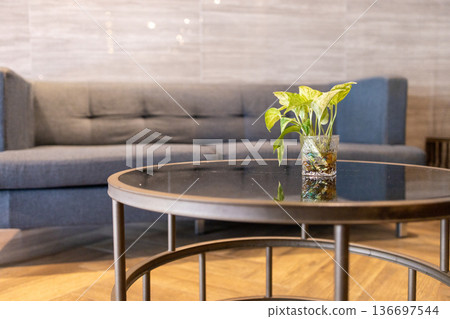 Top view of Golden Pothos in Glass vase on the table, focus selective Top view of Golden Pothos in Glass vase on the table, focus selective 136697544