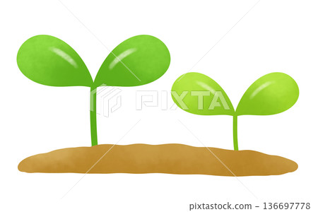 Simple sprout illustration Simple sprout illustration 136697778
