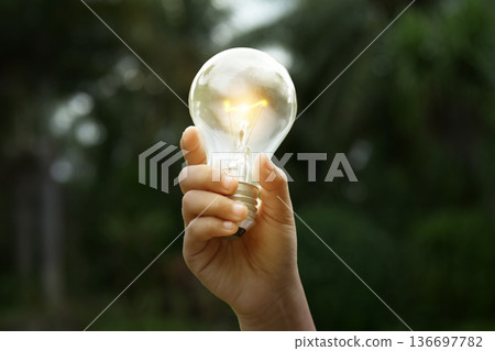 Renewable energy concept Earth Day or environment protection Hands protect forests that grow on the ground and help save the world. 136697782