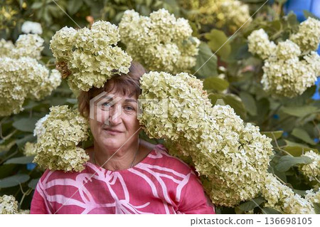 a senior woman sitting among blooming hydrangea flowers in a summer garden 136698105