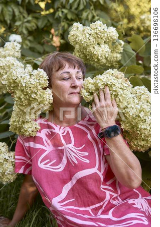 a senior woman sitting among blooming hydrangea flowers in a summer garden 136698106