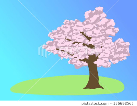 Cherry tree landscape illustration 136698565