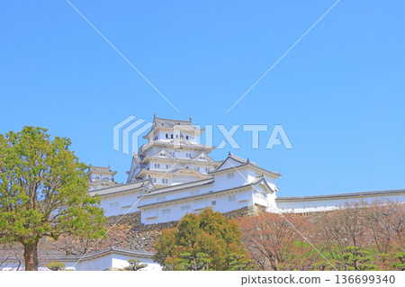 Scenery of National Treasure Himeji Castle, Himeji City, Hyogo Prefecture 136699340